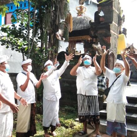 Perayaan Rahina Tumpek Uye sebagai Salah Satu Wujud Pelestarian Alam dan Ketahanan Pangan Hewani